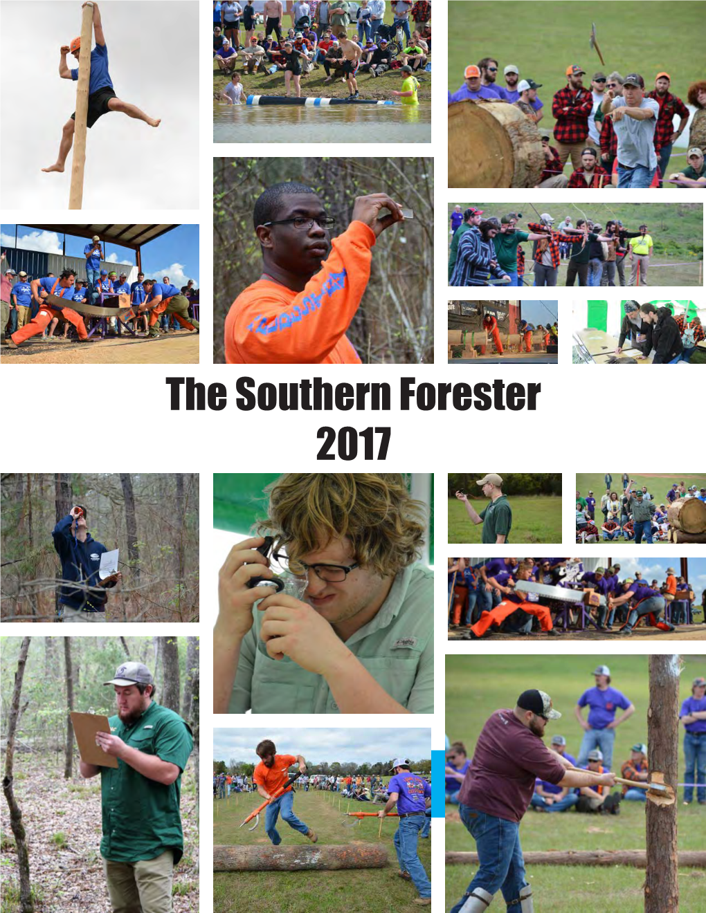 The Southern Forester 2017