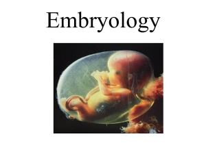 Embryology[PDF]
