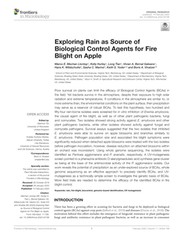 Exploring Rain As Source of Biological Control Agents for Fire Blight on Apple