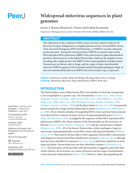 Widespread Mitovirus Sequences in Plant Genomes