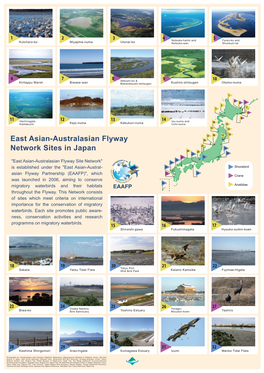 East Asian-Australasian Flyway Network Sites in Japan