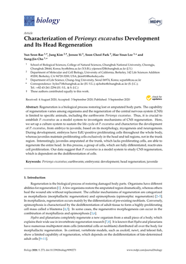 Characterization of Perionyx Excavatus Development and Its Head Regeneration