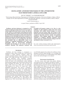 Oscillatory Discharge Across Electrosensory Maps 1257 Changes in EOD Amplitude