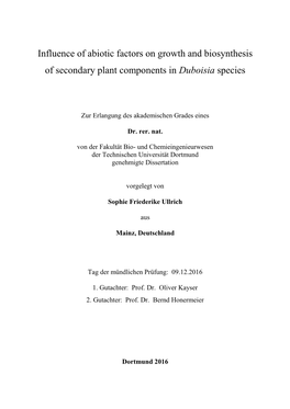 Duboisia Species