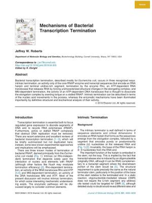 Mechanisms of Bacterial Transcription Termination