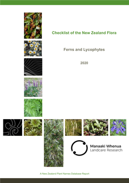 Checklist of the New Zealand Flora Ferns and Lycophytes