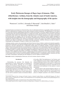 Siluriformes: Ariidae), from the Atlantic Coast of South America, with Insights Into the Demography and Biogeography of the Species