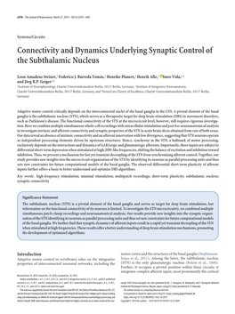 Connectivity and Dynamics Underlying Synaptic Control of the Subthalamic Nucleus