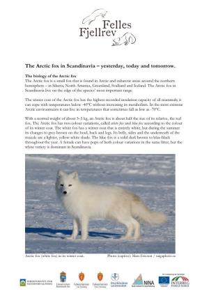 The Arctic Fox in Scandinavia – Yesterday, Today and Tomorrow