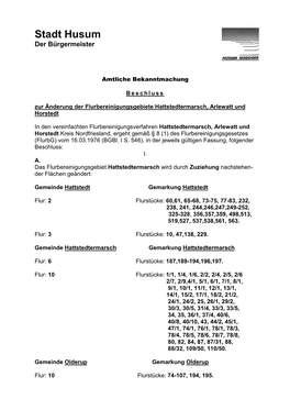 AB Änderungsbeschluss Hattstedtermarsch