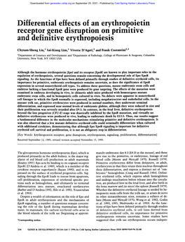 Differential Effects of an Erythropoietin Receptor Gene Disruption on Primitive and Definitive Erythropoiesis