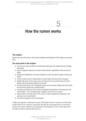 How the Rumen Works
