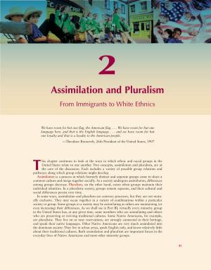 Assimilation and Pluralism. from Immigrants to White Ethnics