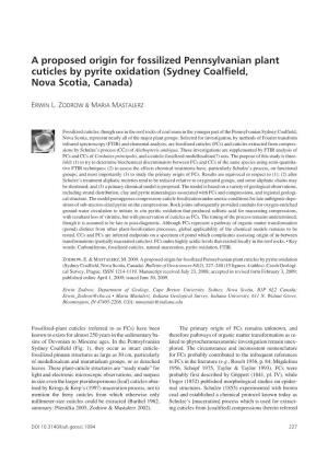 A Proposed Origin for Fossilized Pennsylvanian Plant Cuticles by Pyrite Oxidation (Sydney Coalfield, Nova Scotia, Canada)
