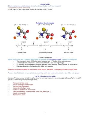 Chem331 Lect 4 Amino Acids Peptides