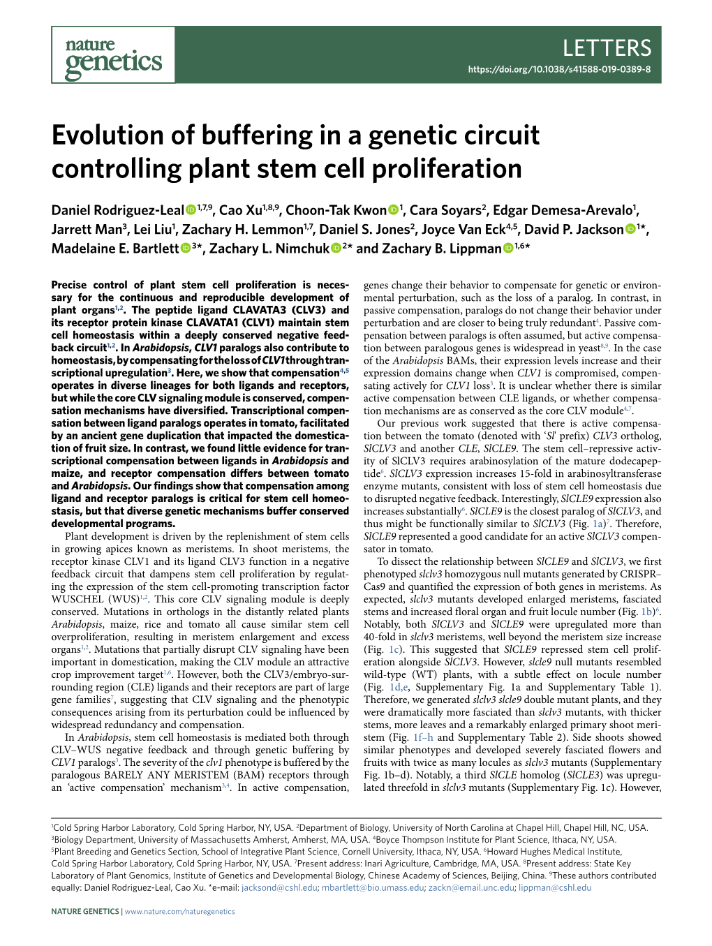 Evolution of Buffering in a Genetic Circuit Controlling Plant Stem Cell Proliferation