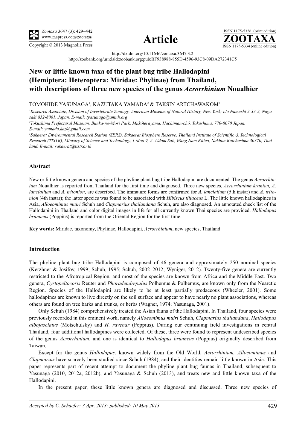 New Or Little Known Taxa of the Plant Bug Tribe Hallodapini