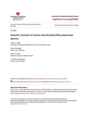 Genomic Structure of Murine Mitochondrial DNA Polymerase- Gamma