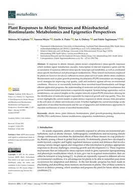 Plant Responses to Abiotic Stresses and Rhizobacterial Biostimulants: Metabolomics and Epigenetics Perspectives