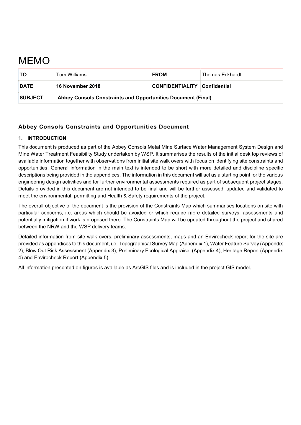 Abbey Consols Constraints and Opportunities Document (Final)