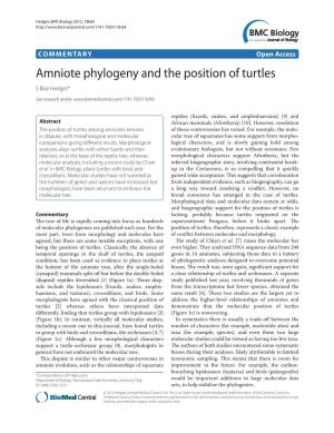 Amniote Phylogeny and the Position of Turtles S Blair Hedges*