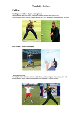 Visual Aid – Cricket. Fielding