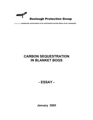 Carbon Sequestration in Blanket Bogs