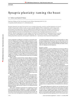 Synaptic Plasticity: Taming the Beast