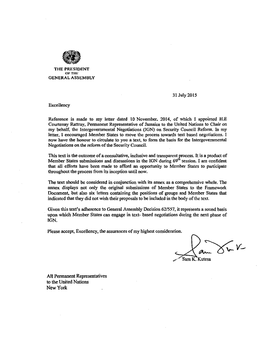 Intergovernmental Negotiation on Security Council Reform