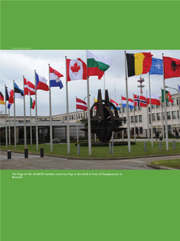 The Flags of the 28 NATO Member Countries Flap in the Wind in Front of Headquarters in Brussels