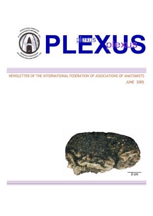 Plexus JULY 05-3