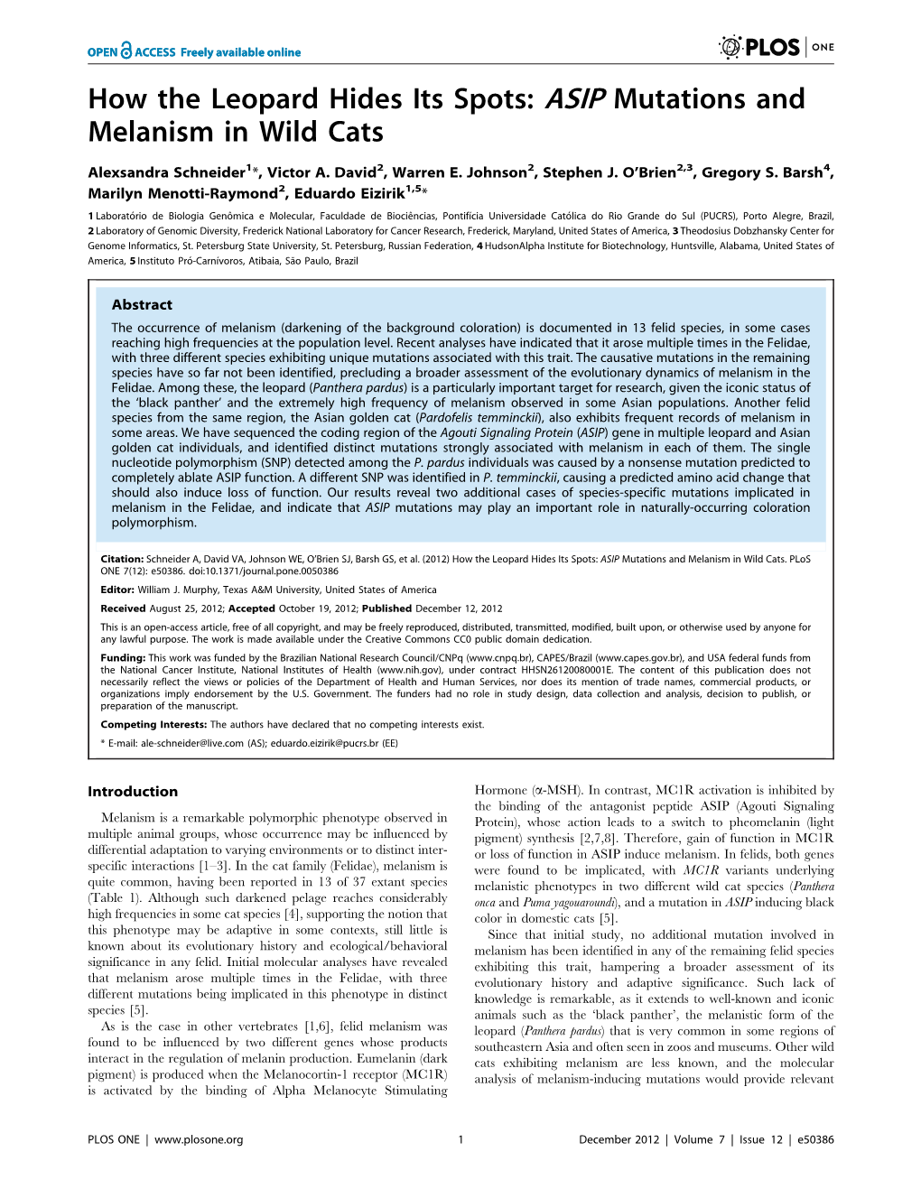 ASIP Mutations and Melanism in Wild Cats