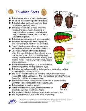 Trilobite Facts Eyes Mouth Gills (Beneath Legs) · Trilobites Are a Type of Extinct Arthropod