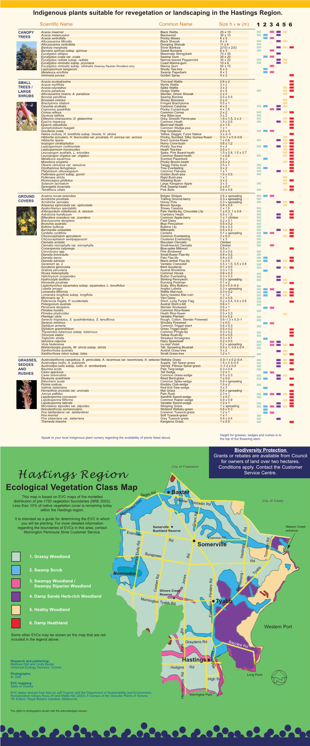 Hastings Region B Final Draft.Qxd