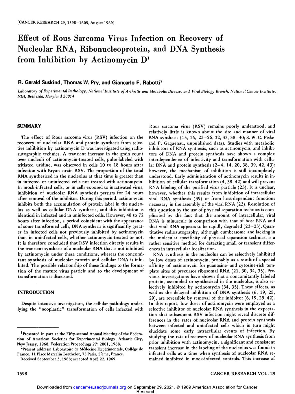 Effect of Rous Sarcoma Virus Infection on Recovery of Nucleolar RNA, Ribonucleoprotein, and DNA Synthesis from Inhibition by Actinomycin D'