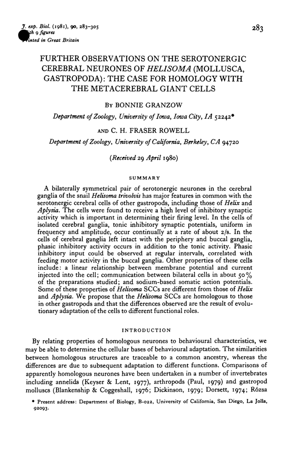 Further Observations on the Serotonergic Cerebral Neurones of Helisoma (Mollusca, Gastropoda): the Case for Homology with the Metacerebral Giant Cells