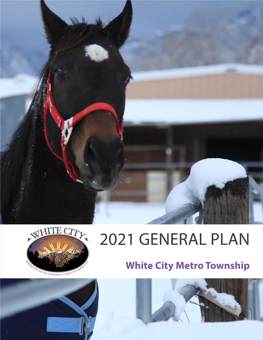2021 General Plan