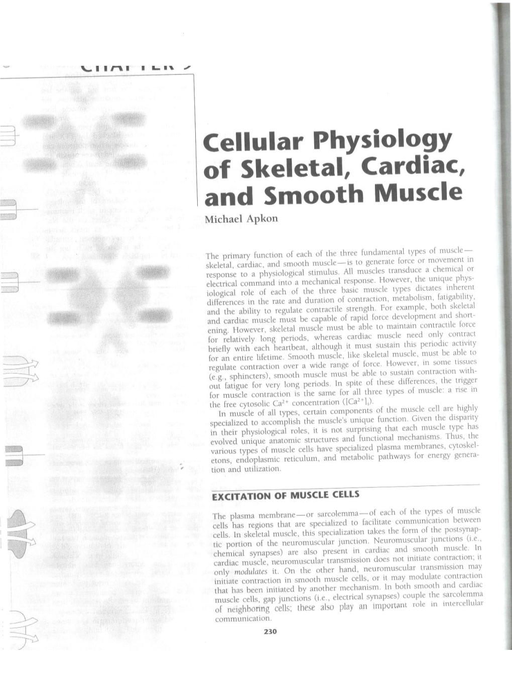 Cellular Physiology of Skeletal, Cardiac, and Smooth Muscle