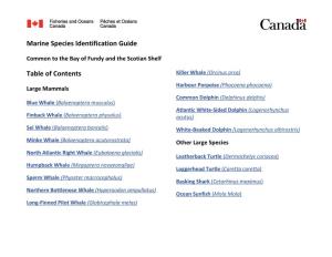 Marine Species Identification Guide: Common to the Bay of Fundy And