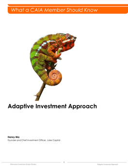Adaptive Investment Approach