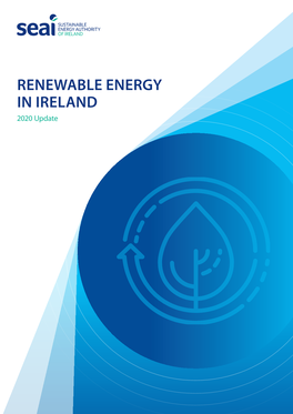 RENEWABLE ENERGY in IRELAND 2020 Update