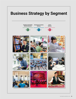 Business Strategy by Segment