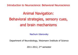 Animal Navigation:Navigation: Behavioralbehavioral Strategies,Strategies, Sensorysensory Cues,Cues, Andand Brainbrain Mechanismsmechanisms