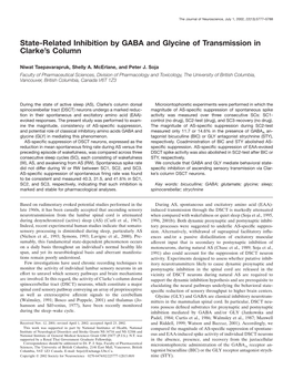 State-Related Inhibition by GABA and Glycine of Transmission in Clarke's