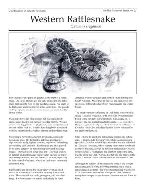 Western Rattlesnake 5 Web Version.Indd