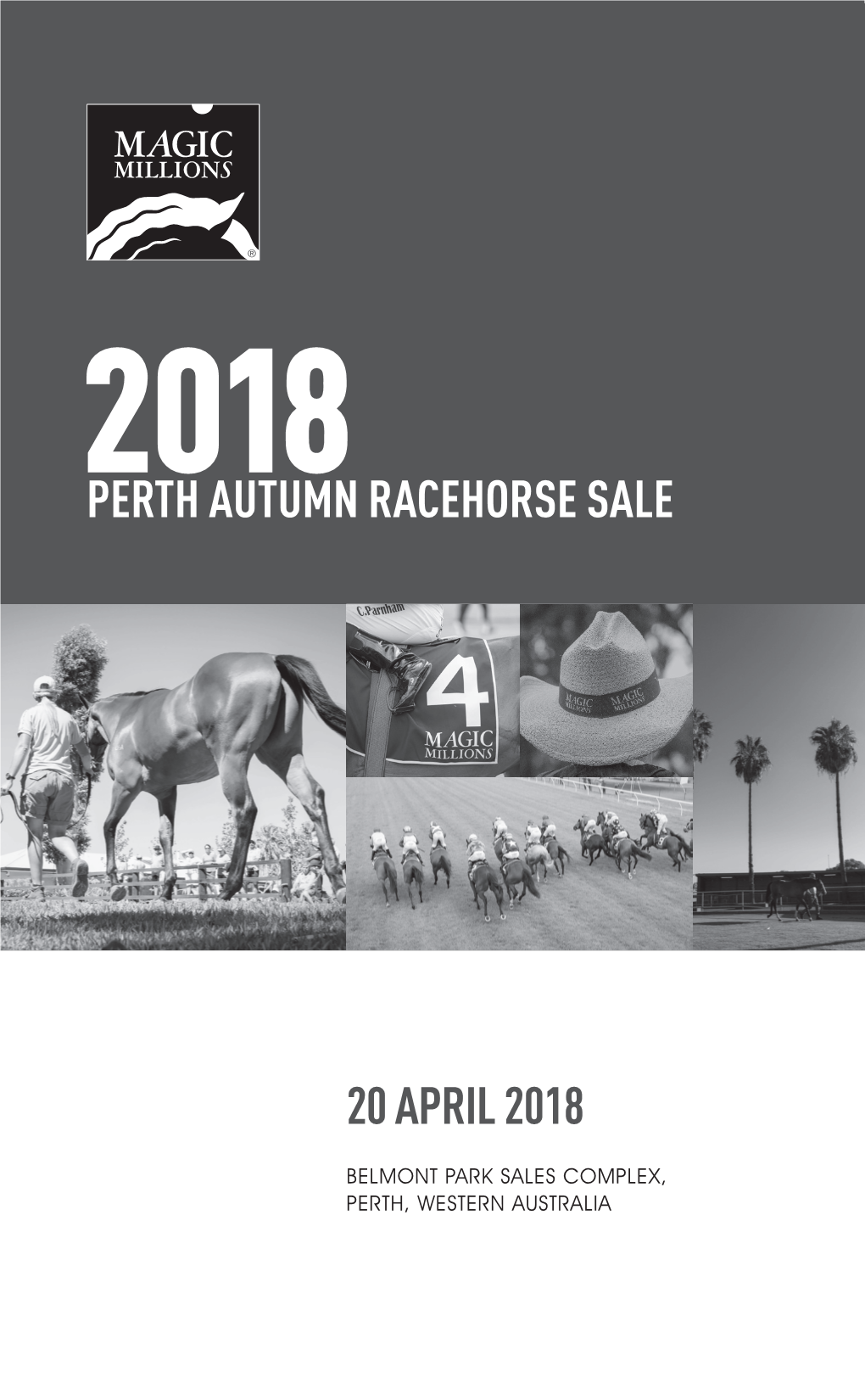 Perth Autumn Racehorse Sale 20 April 2018