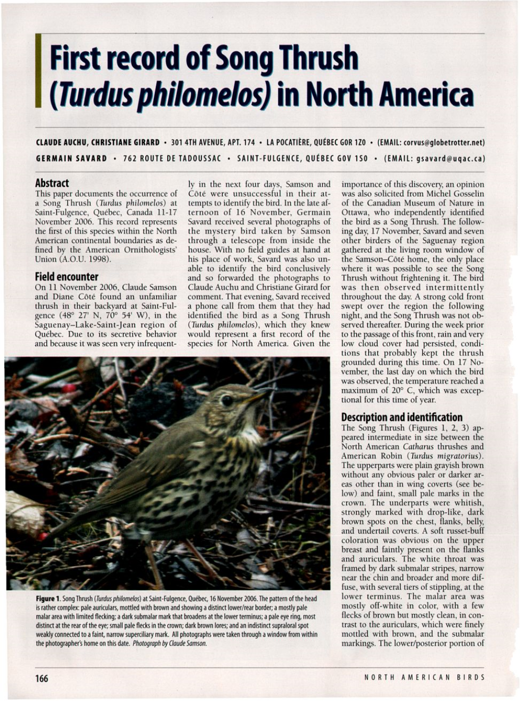 First Record of Song Thrush (<I>Turdus Philomelos</I>) in North