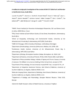 A Multiscale Stratigraphic Investigation of the Context of Stw 573 'Little Foot' and Member 2, Sterkfontein Caves, South