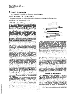 Genomic Sequencing (DNA Methylation/UV Crosslinking/Filter Hybridization/Immunoglobulin Genes) GEORGE M