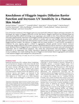 Knockdown of Filaggrin Impairs Diffusion Barrier Function